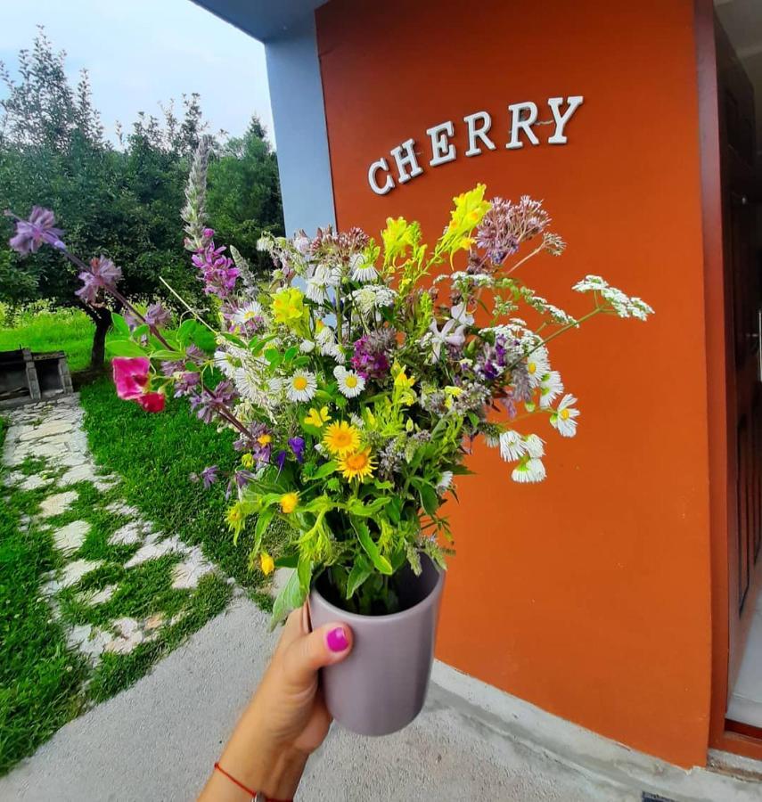 Apartman Cherry Gradac Valjevo Exterior photo