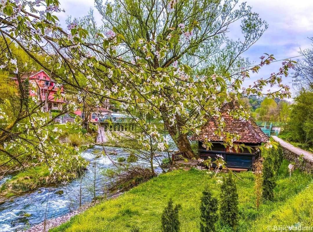 Apartman Cherry Gradac Valjevo Exterior photo